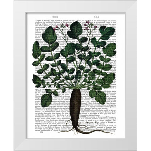 Parsnip 4 White Modern Wood Framed Art Print by Fab Funky
