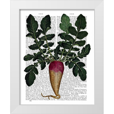 Turnip White Modern Wood Framed Art Print by Fab Funky