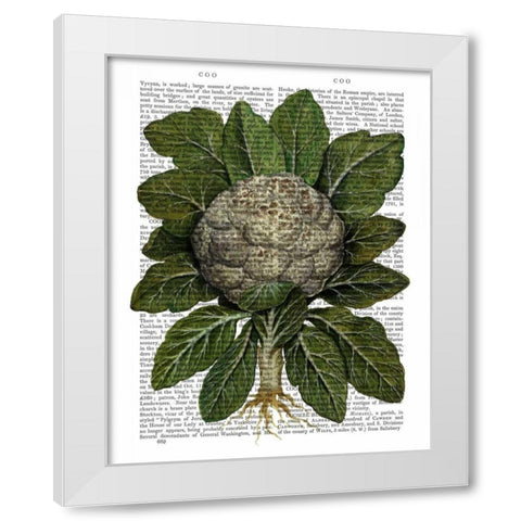 Cauliflower White Modern Wood Framed Art Print by Fab Funky