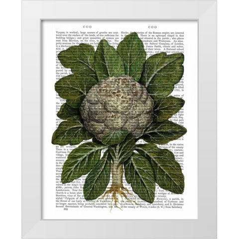 Cauliflower White Modern Wood Framed Art Print by Fab Funky
