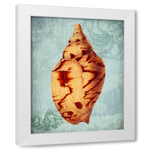Coastal Life Collection 2 d White Modern Wood Framed Art Print by Fab Funky