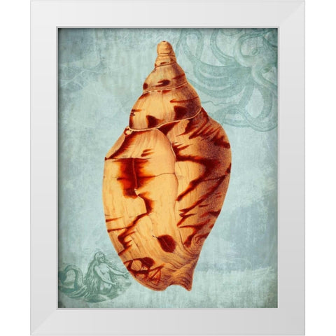Coastal Life Collection 2 d White Modern Wood Framed Art Print by Fab Funky