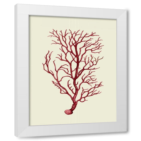 Corals Coral On Cream b White Modern Wood Framed Art Print by Fab Funky