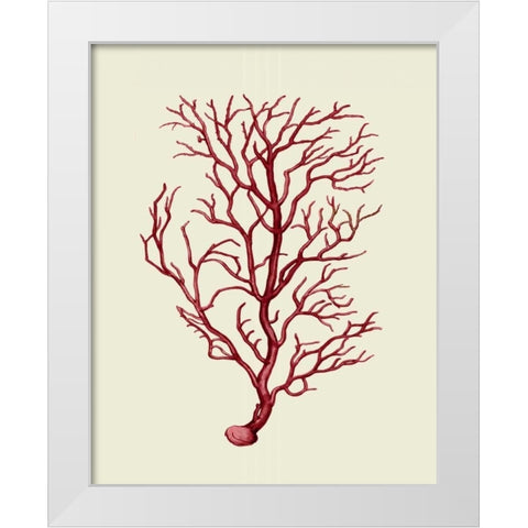 Corals Coral On Cream b White Modern Wood Framed Art Print by Fab Funky