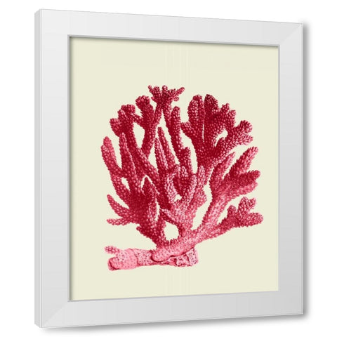 Red Corals 1 a White Modern Wood Framed Art Print by Fab Funky