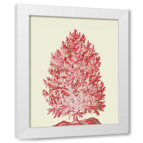 Red Corals 1 d White Modern Wood Framed Art Print by Fab Funky