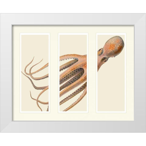 Octopus on 3 panels White Modern Wood Framed Art Print by Fab Funky