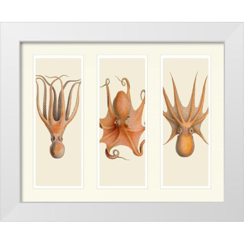 Trio of Octopus on 3 Panels White Modern Wood Framed Art Print by Fab Funky