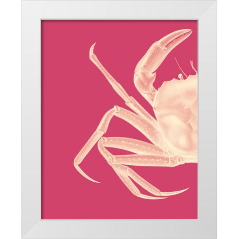 Contrasting Crab in Pink a White Modern Wood Framed Art Print by Fab Funky