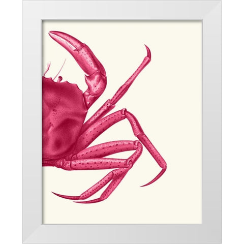 Contrasting Crab in Pink b White Modern Wood Framed Art Print by Fab Funky