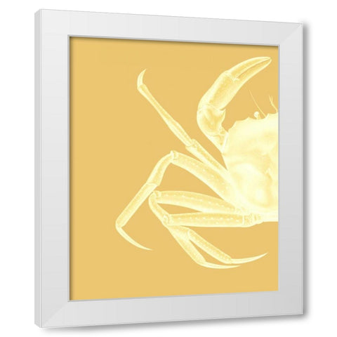 Contrasting Crab in Mustard a White Modern Wood Framed Art Print by Fab Funky