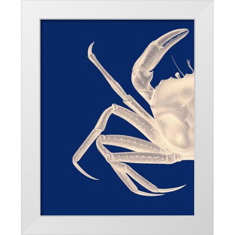 Contrasting Crab in Navy Blue a White Modern Wood Framed Art Print by Fab Funky