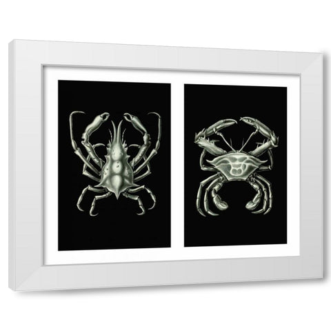 Crabs On Black in 2 panels White Modern Wood Framed Art Print by Fab Funky