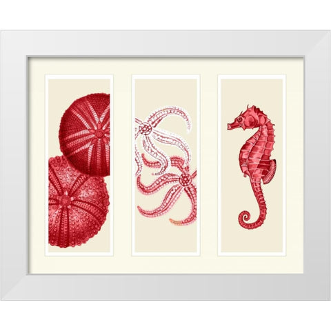 Three Panel Print Sea Urchin Starfish and Seahorse in Red White Modern Wood Framed Art Print by Fab Funky
