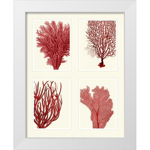 Red Coral Print on 4 Panels White Modern Wood Framed Art Print by Fab Funky
