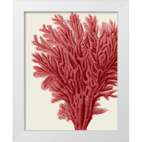 Red Corals 2 a White Modern Wood Framed Art Print by Fab Funky