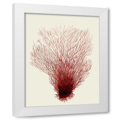 Red Corals 2 d White Modern Wood Framed Art Print by Fab Funky