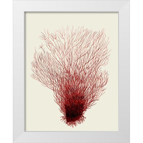 Red Corals 2 d White Modern Wood Framed Art Print by Fab Funky
