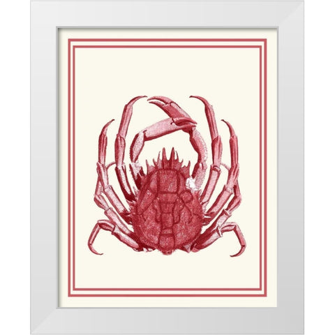 Mixed Nautical Coral on Cream f White Modern Wood Framed Art Print by Fab Funky