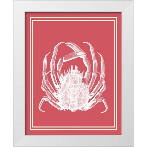 Mixed Nautical White on Coral a White Modern Wood Framed Art Print by Fab Funky
