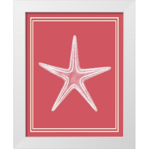 Mixed Nautical White on Coral f White Modern Wood Framed Art Print by Fab Funky