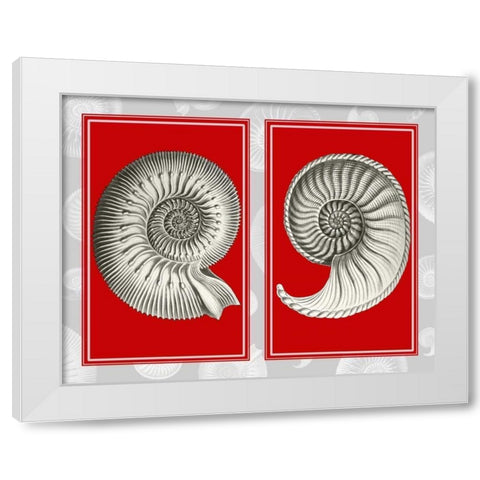 Nautilus Shells On Red White Modern Wood Framed Art Print by Fab Funky