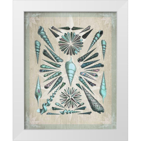 Shell Collection 5 White Modern Wood Framed Art Print by Fab Funky