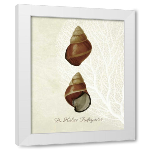French Shell Print a White Modern Wood Framed Art Print by Fab Funky