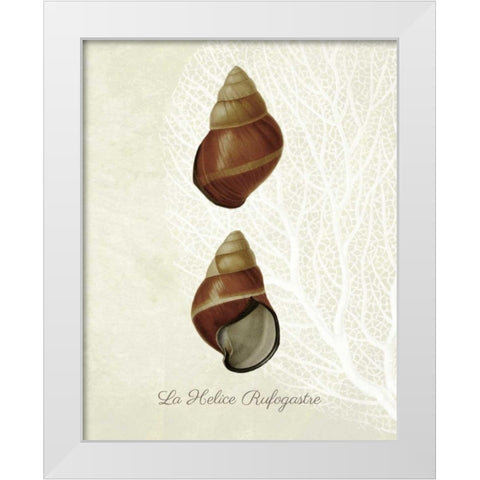 French Shell Print a White Modern Wood Framed Art Print by Fab Funky