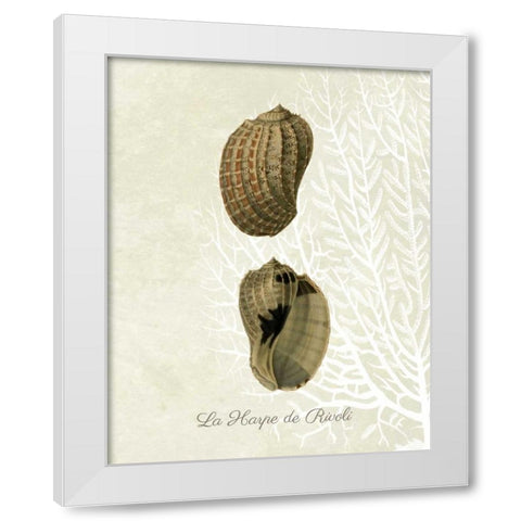 French Shell Print c White Modern Wood Framed Art Print by Fab Funky