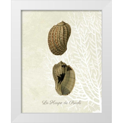 French Shell Print c White Modern Wood Framed Art Print by Fab Funky