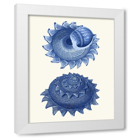 2 Blue Shells b White Modern Wood Framed Art Print by Fab Funky