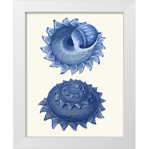 2 Blue Shells b White Modern Wood Framed Art Print by Fab Funky