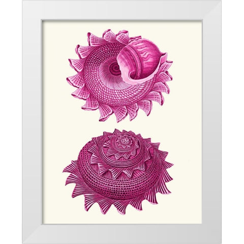 Pink Shells b White Modern Wood Framed Art Print by Fab Funky