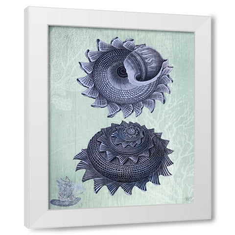 Seashell Collection 2 b White Modern Wood Framed Art Print by Fab Funky