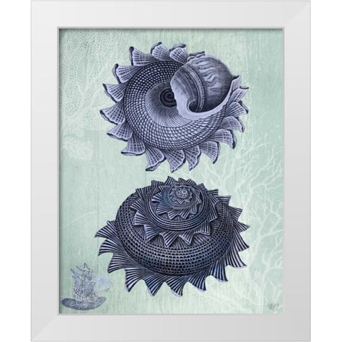 Seashell Collection 2 b White Modern Wood Framed Art Print by Fab Funky