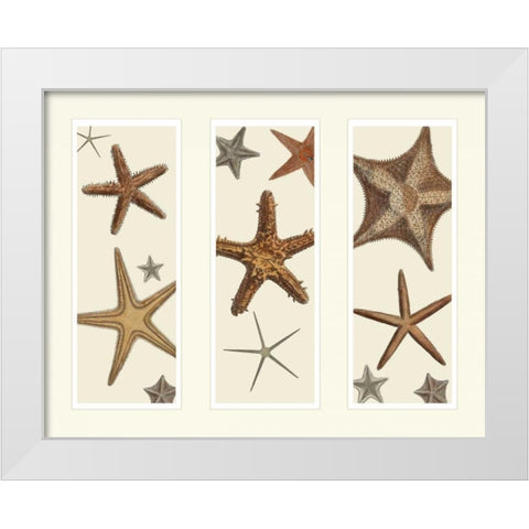 Starfish Print on 3 Panels White Modern Wood Framed Art Print by Fab Funky