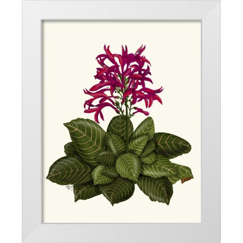 Tropical Flower 1 White Modern Wood Framed Art Print by Fab Funky