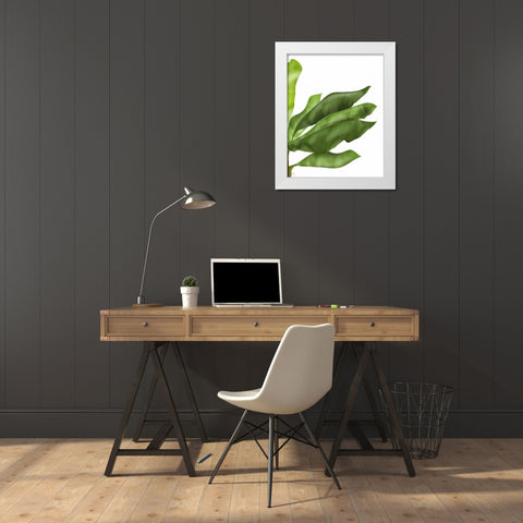 Banana Leaves 1, Green on White White Modern Wood Framed Art Print by Fab Funky