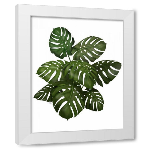 Monstera Plant, Green on White White Modern Wood Framed Art Print by Fab Funky