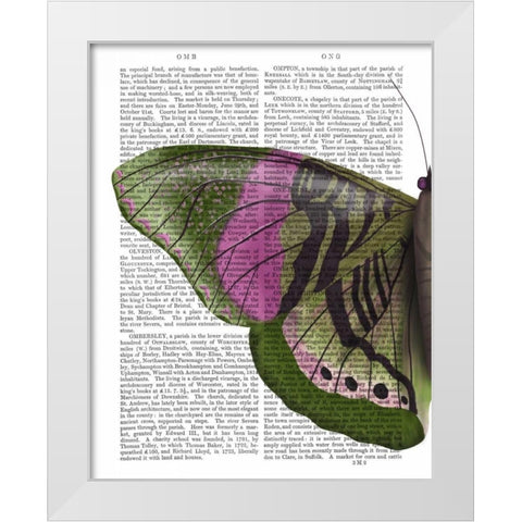 Butterfly in Green and Pink a White Modern Wood Framed Art Print by Fab Funky