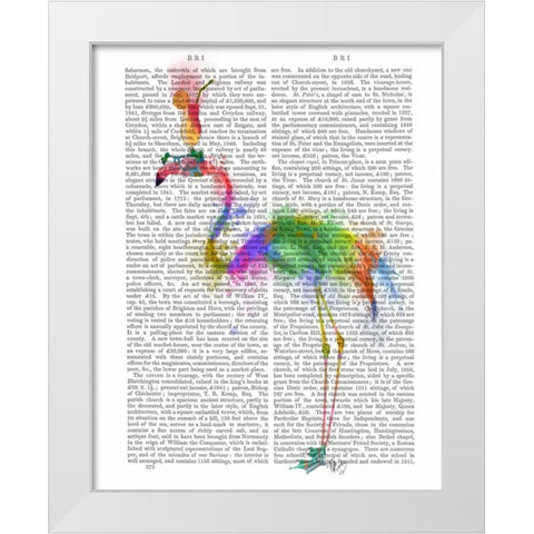 Rainbow Splash Flamingo 1 White Modern Wood Framed Art Print by Fab Funky
