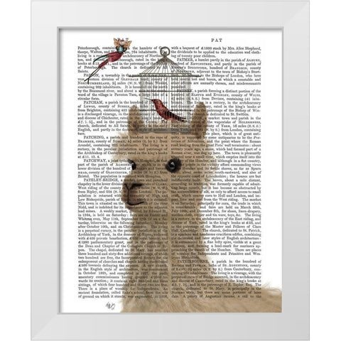 Llama and Birdcage Book Print White Modern Wood Framed Art Print by Fab Funky
