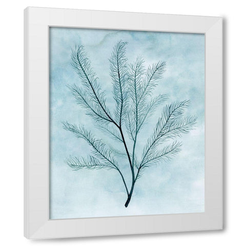 Clouds and Coral I White Modern Wood Framed Art Print by Popp, Grace