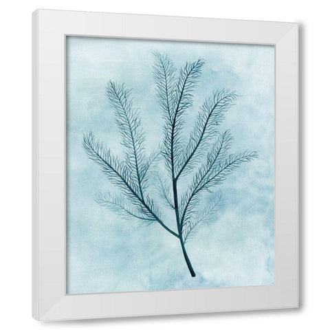 Clouds and Coral II White Modern Wood Framed Art Print by Popp, Grace