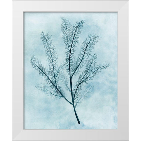 Clouds and Coral II White Modern Wood Framed Art Print by Popp, Grace