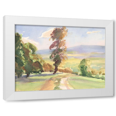 Vermont Vista I White Modern Wood Framed Art Print by Calcasola, Stephen
