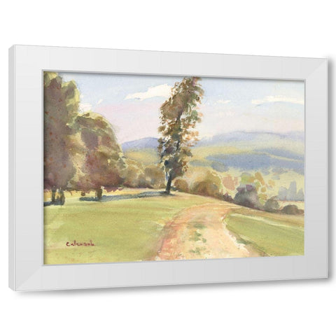 Vermont Vista II White Modern Wood Framed Art Print by Calcasola, Stephen