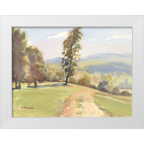 Vermont Vista II White Modern Wood Framed Art Print by Calcasola, Stephen