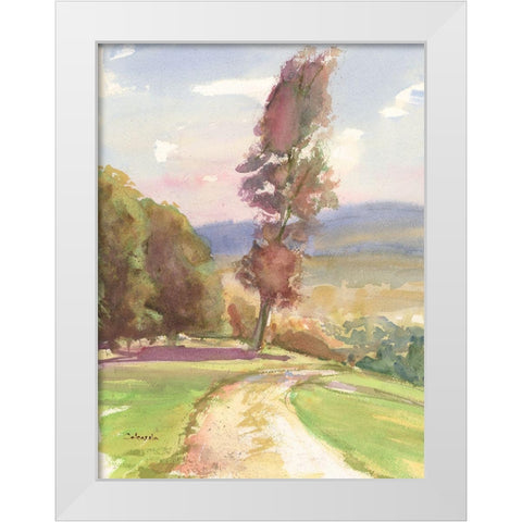 Vermont Vista III White Modern Wood Framed Art Print by Calcasola, Stephen
